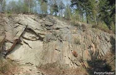 F&ouml;rderverein_Geologie_Tharandter Wald1.jpg.jpg