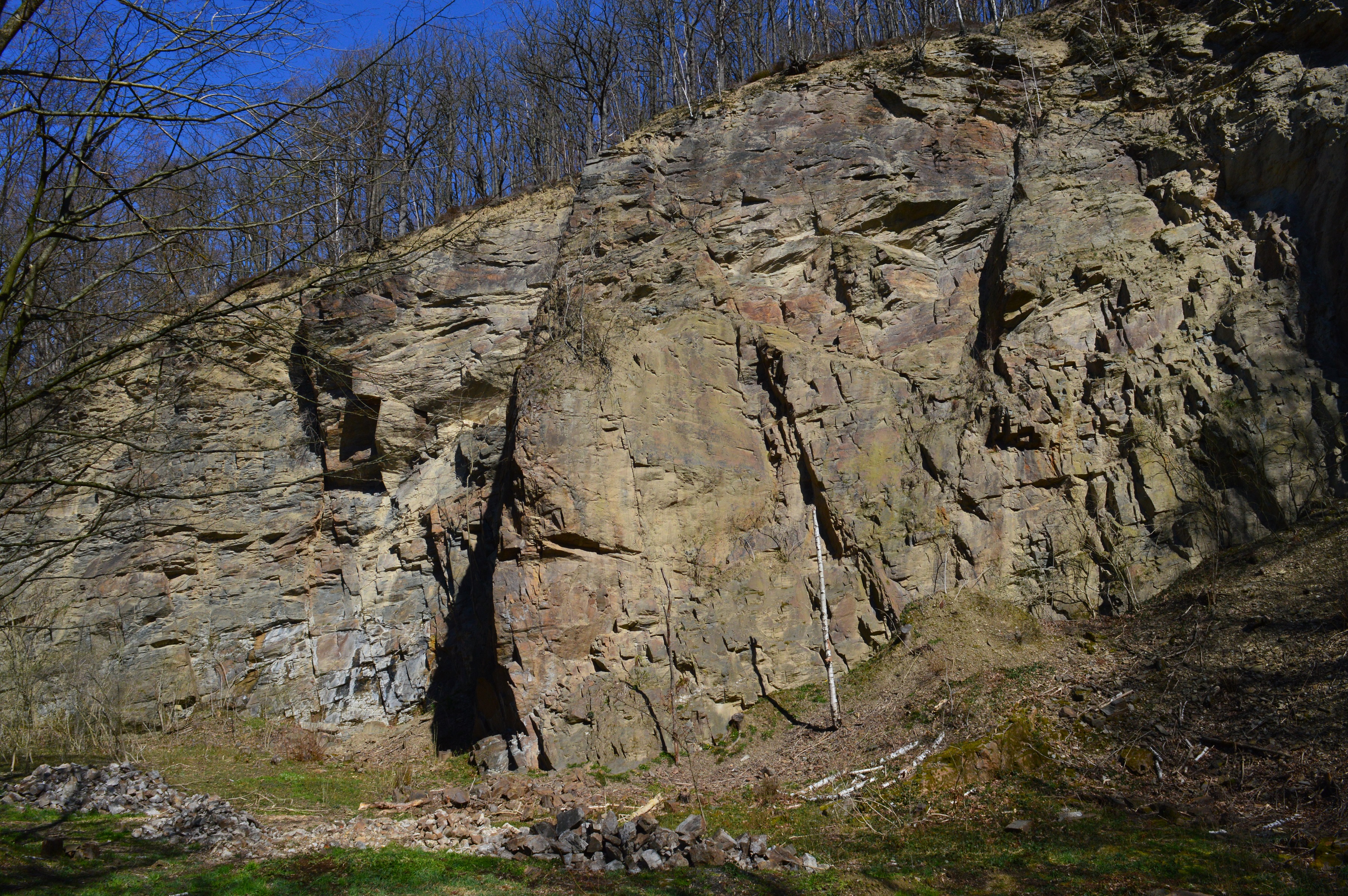 Geotop_Chloritgneis_Triebischtal_GEOPARK.JPG