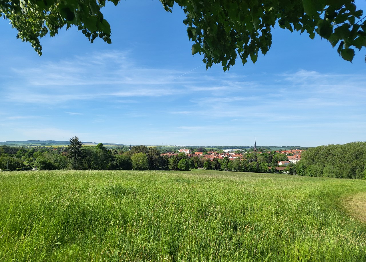 Startseite - Stadt Wilsdruff in Sachsen