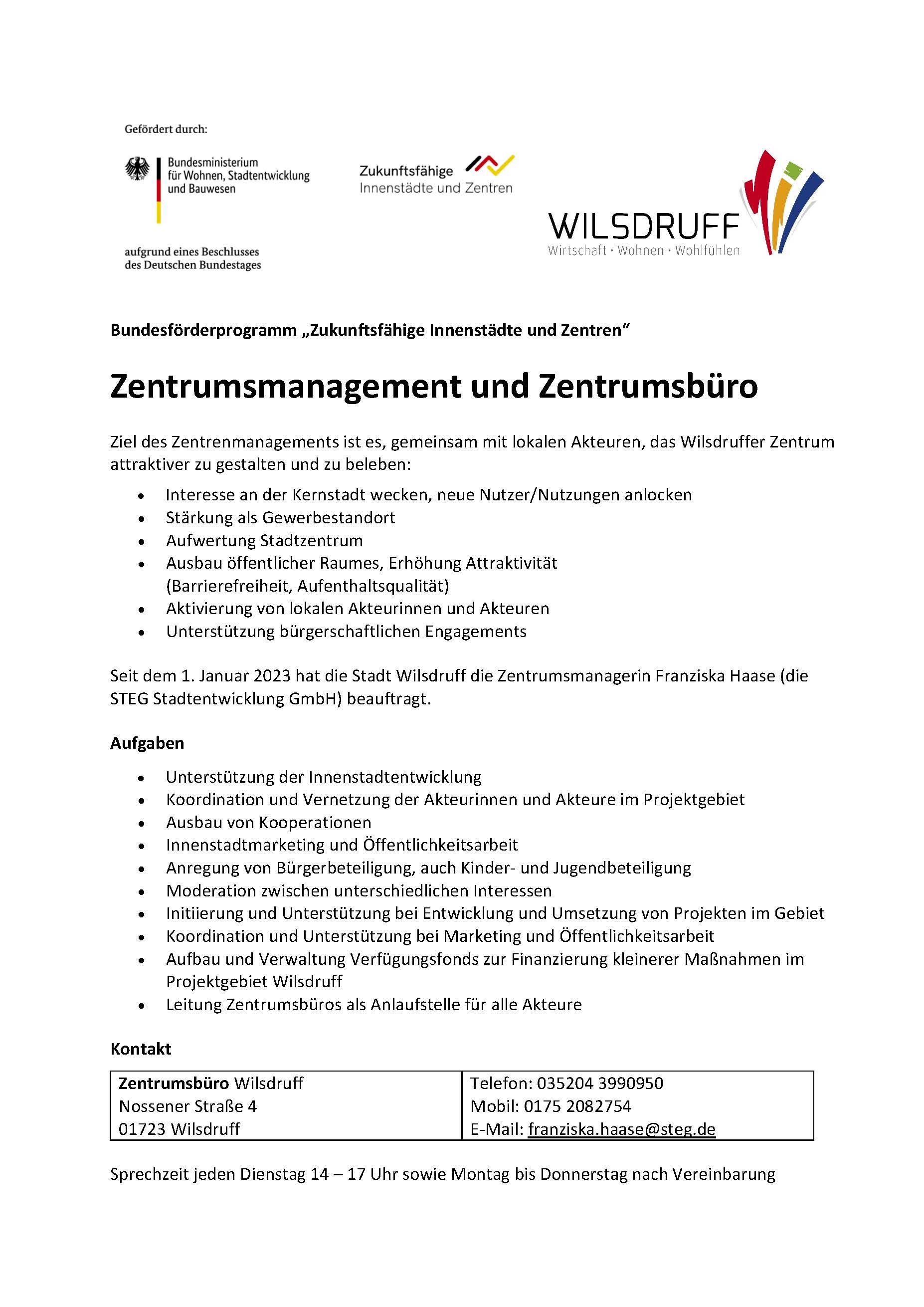 Präsentation ZIZ Homepage SV Wilsdruff_Seite_1.jpg