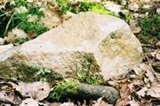Geologisches-Freilichtmuseum_Quarzit.jpg