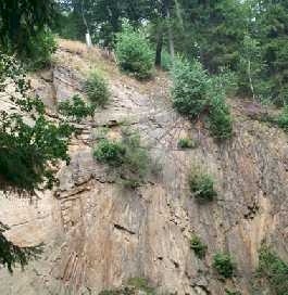 Geologisches-Freilichtmuseum_Faecher.jpg