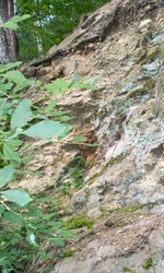 Geologisches-Freilichtmuseum_Uebersch.jpg