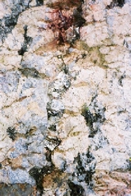 Geologisches-Freilichtmuseum_Einschluss.jpg